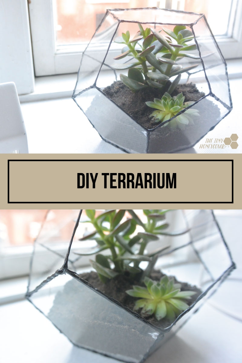 DIY Terrarium How To Make A Geometric Terrarium The Tiny Honeycomb DIY Terrarium How To Make A Geometric Terrarium The Tiny Honeycomb