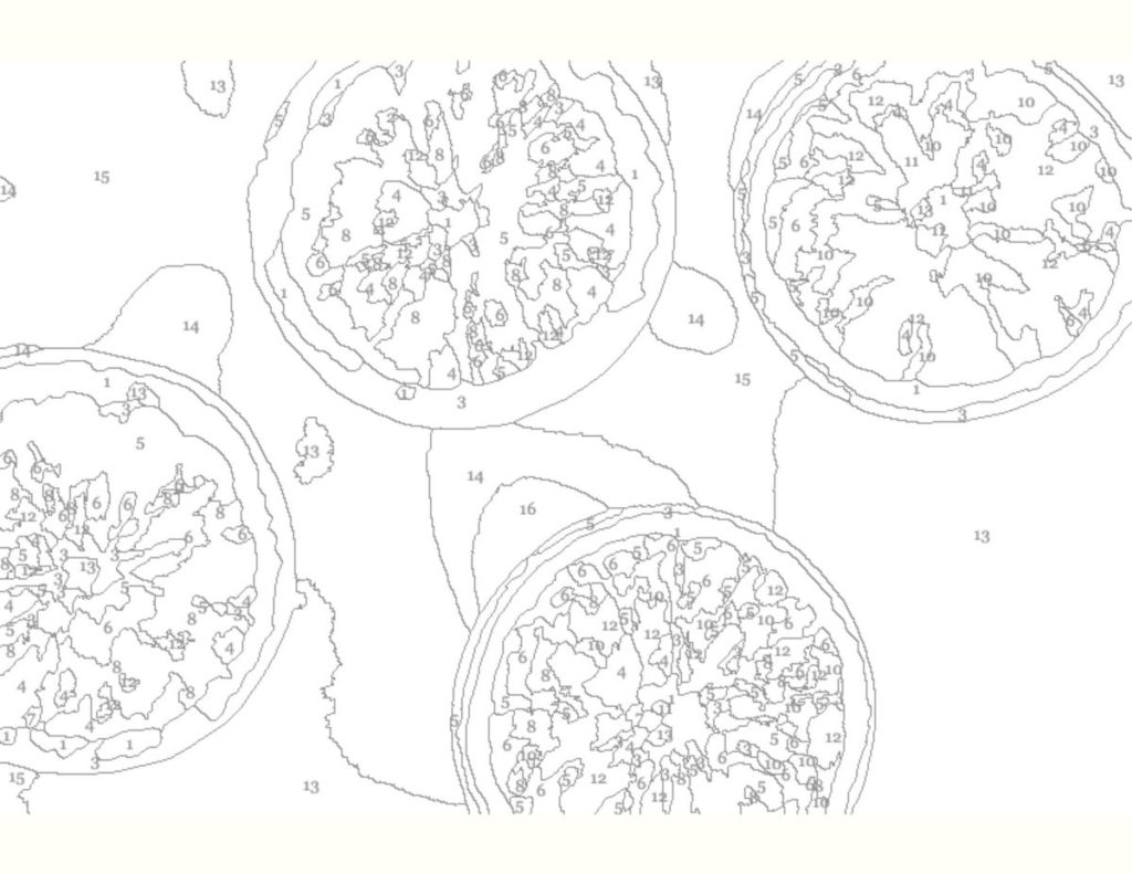 Free Paint By Numbers For Adults With Color Key OriginalMOM Free Paint By Numbers For Adults With Color Key OriginalMOM