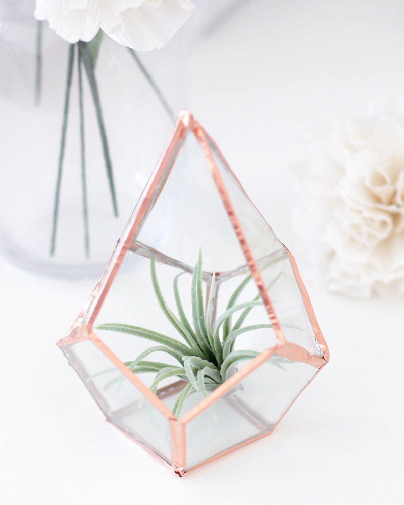 Geometric Glass Terrarium DIY Why Don t You Make Me