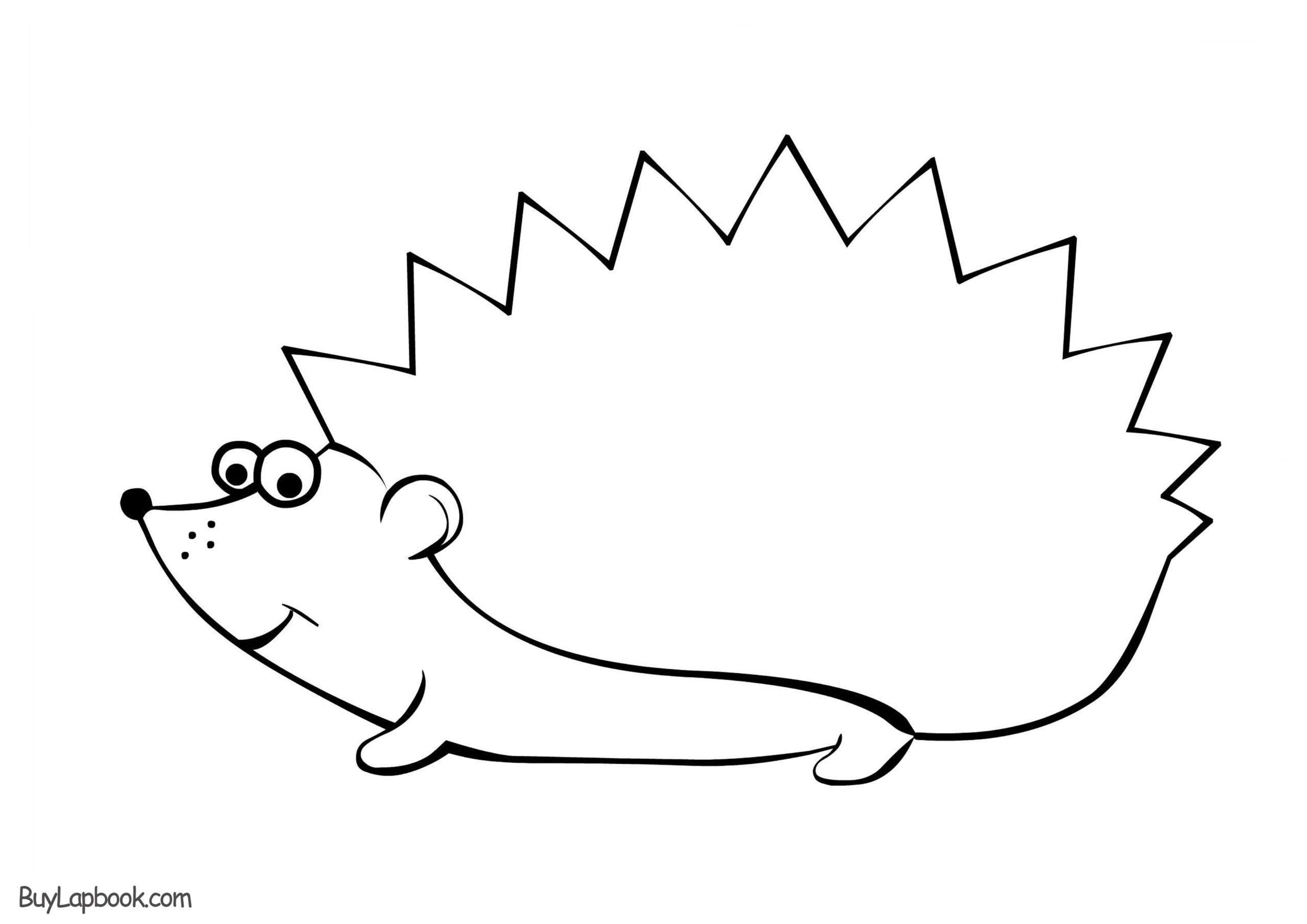 Hedgehog Template Printable Free Hedgehog Template Printable Free