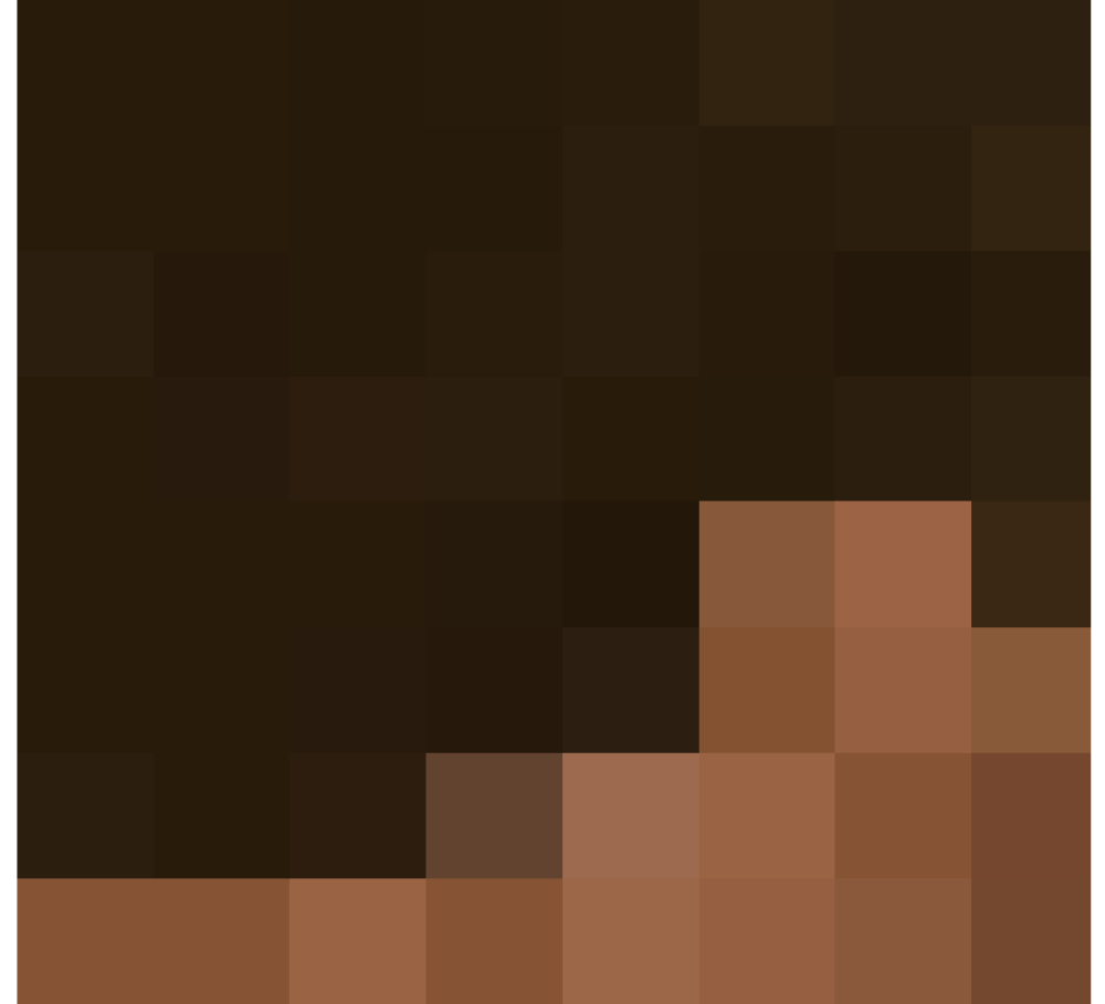 Free Minecraft Steve Head Printable Template Mask