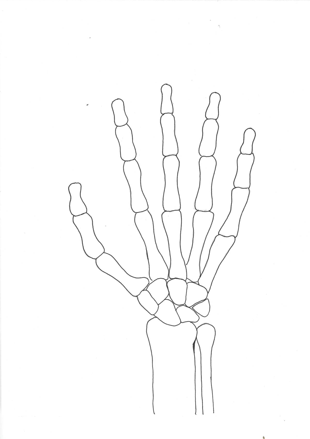 Printable Skeleton Hand Template