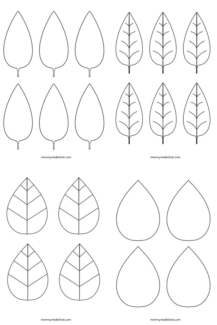 Free Leaf Templates amp Outlines Tons Of Printables